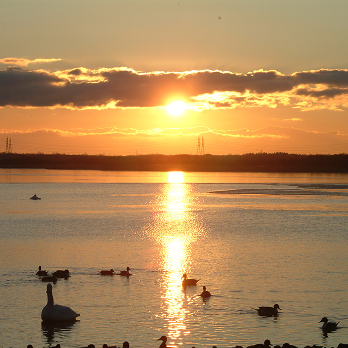 苫小牧市 観光スポット1