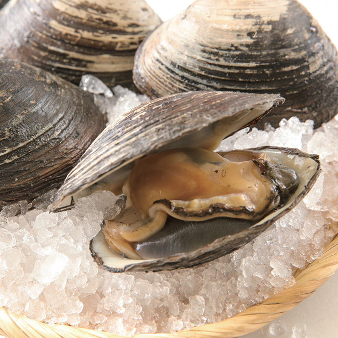 苫小牧市 観光スポット3