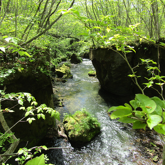 苫小牧市 観光スポット4